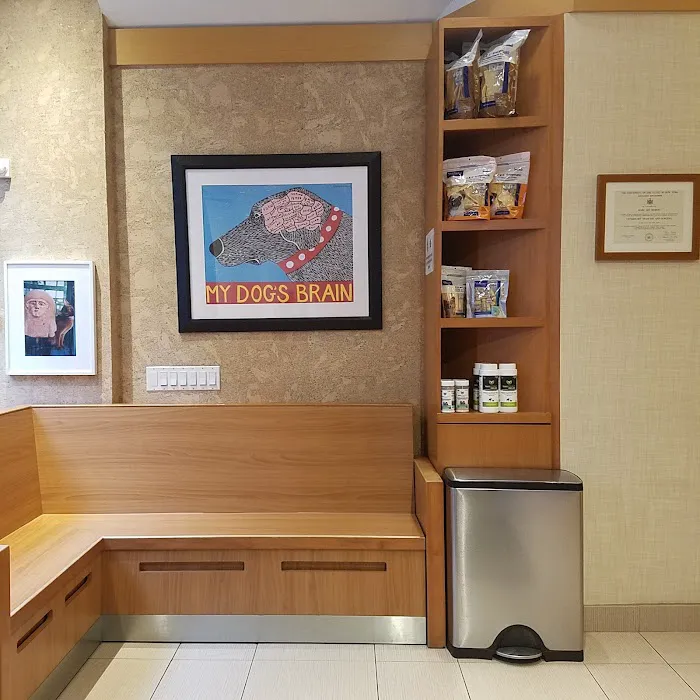 Heart of Chelsea Veterinary Group - Chelsea 12