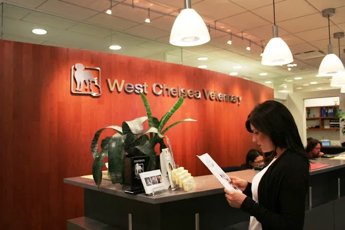 West Chelsea Veterinary 12