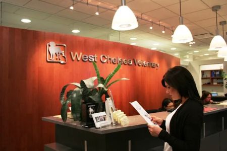 West Chelsea Veterinary
