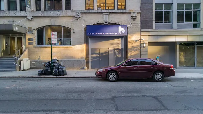 West Chelsea Veterinary 12
