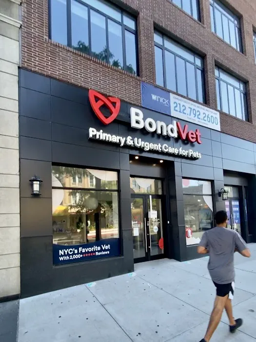 Bond Vet - Astoria 12