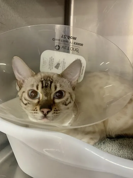 Astoria Animal Hospital 12