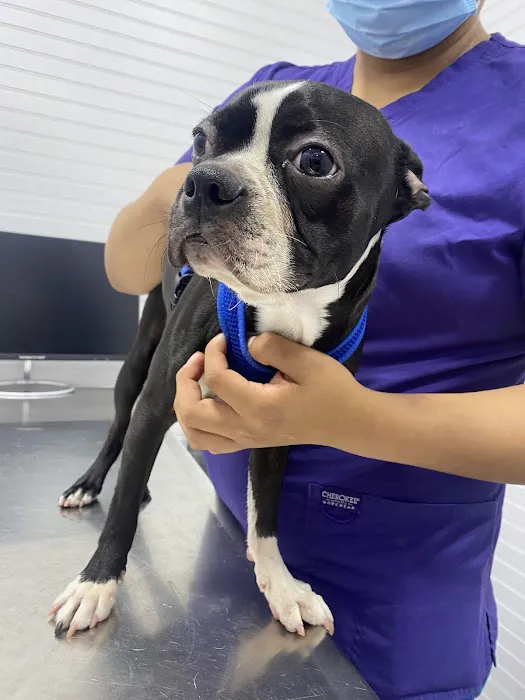 Astoria Animal Hospital 12