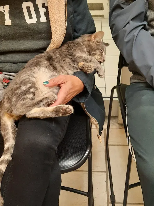 Astoria Animal Hospital 12