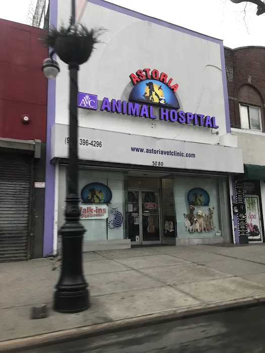 Astoria Animal Hospital 12