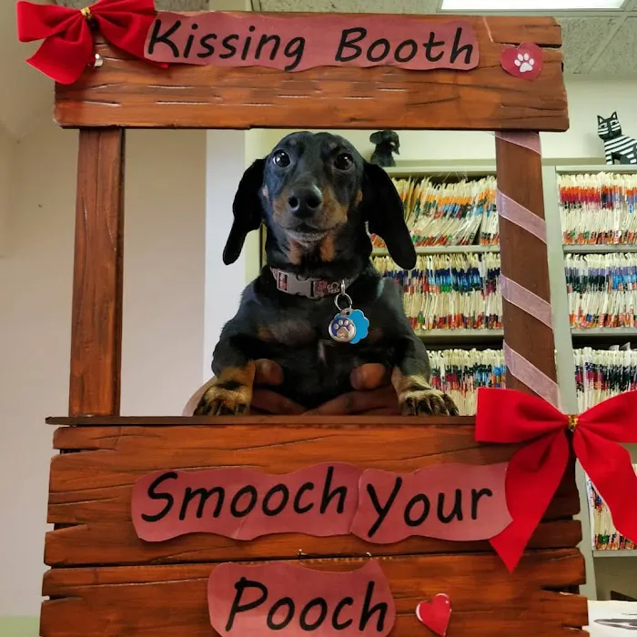 The Sunnyside Pet Healthcare & Dental Center 12