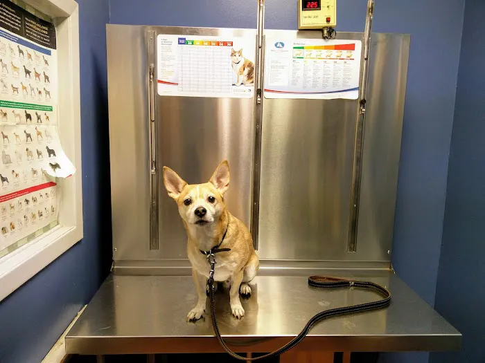 Queens Animal Hospital 12