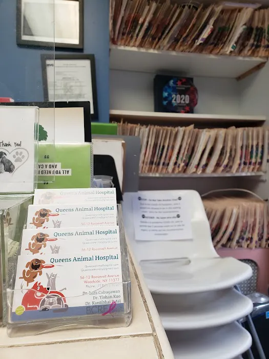 Queens Animal Hospital 12