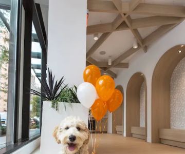 Small Door Veterinary - Upper East Side