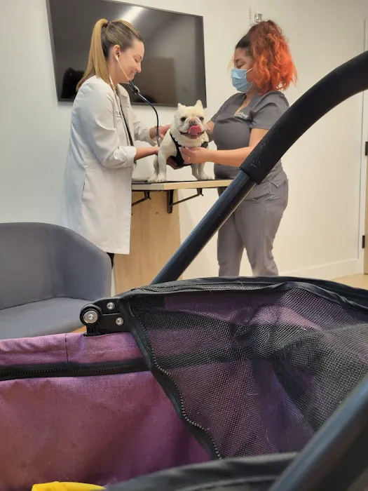 Small Door Veterinary - Upper East Side 10