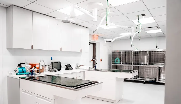 URvet Care Upper East Side (Midtown Medical Center is Open 24/7) 8