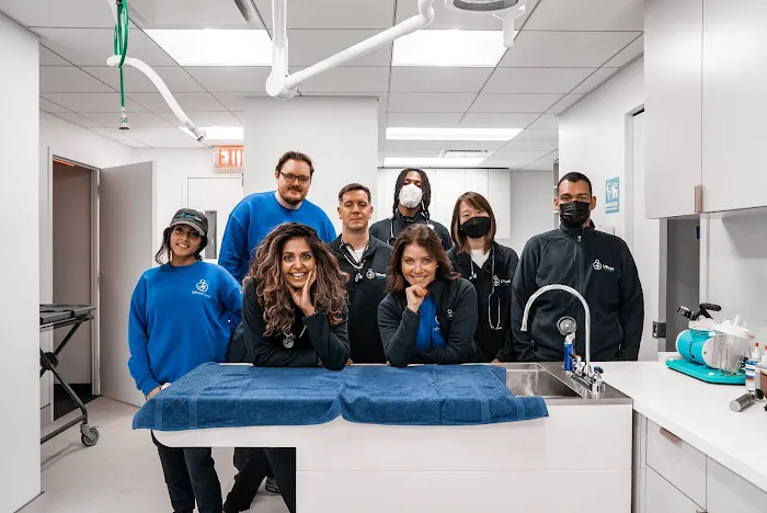 URvet Care Upper East Side (Midtown Medical Center is Open 24/7) 9
