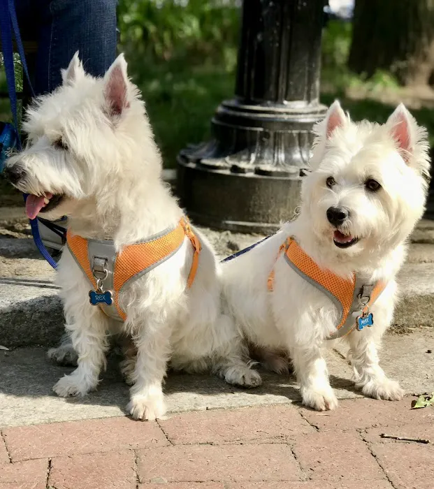 PetVax - At-Home Pet Vaccination Service 7