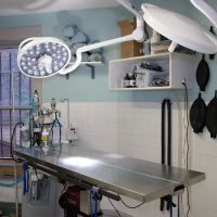 Prospect Park Animal Clinic ico