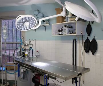 Prospect Park Animal Clinic