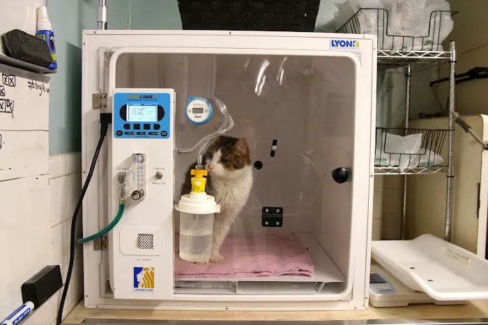 Prospect Park Animal Clinic 6