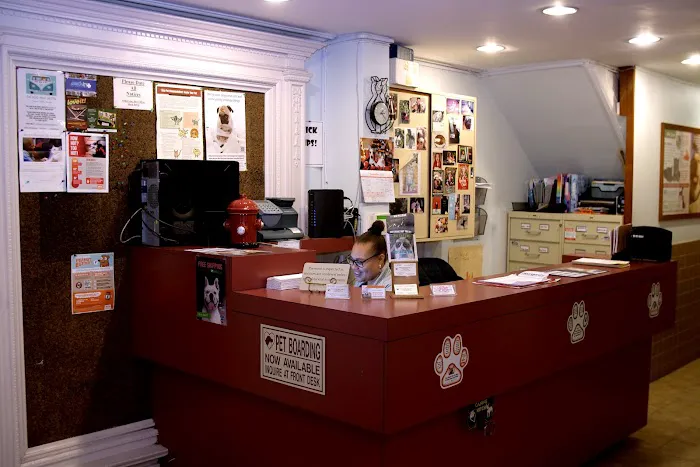 Prospect Park Animal Clinic 7
