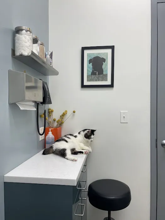 Brooklyn Roots Veterinary Hospital 8