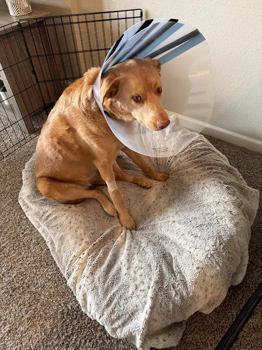 Animal Urgent Care North East 12