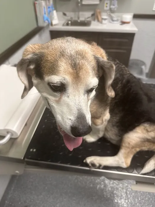 Animal Urgent Care North East 12