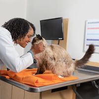 Banfield Pet Hospital ico