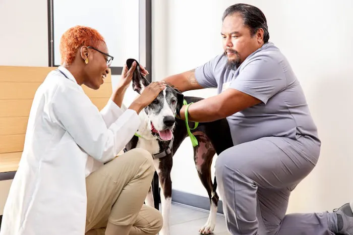Banfield Pet Hospital 12