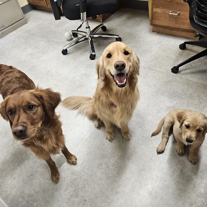 Horizon Veterinary Clinic 12