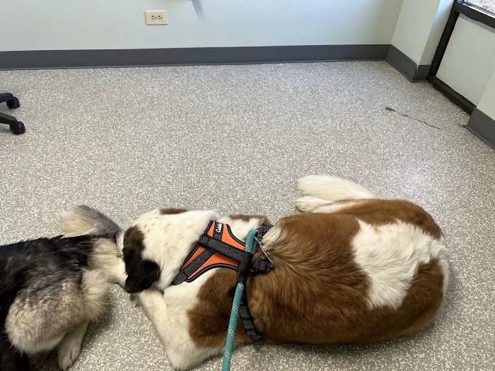 Horizon Veterinary Clinic 12