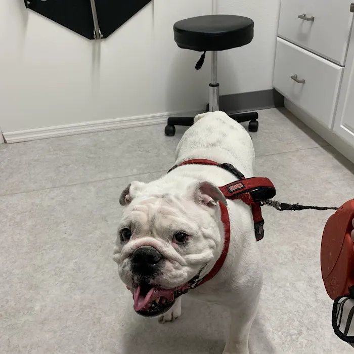 Horizon Veterinary Clinic 12