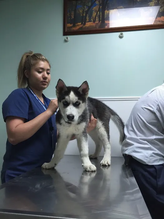 Horizon Veterinary Clinic 12