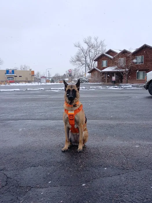 Horizon Veterinary Clinic 12