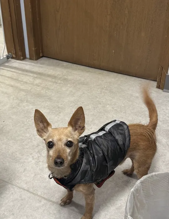 Horizon Veterinary Clinic 12