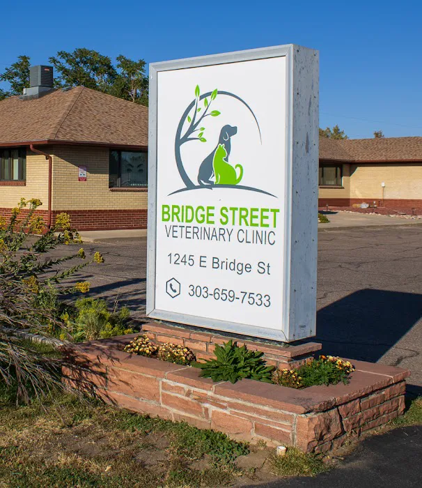 Bridge Street Veterinary Clinic 12