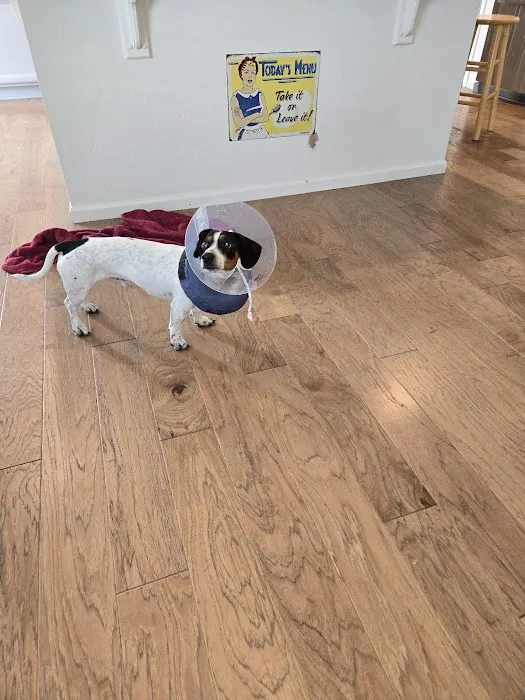 Bridge Street Veterinary Clinic 12