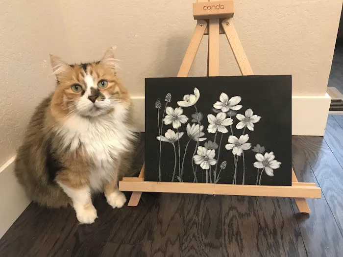 Wildflower Veterinary Hospital 12