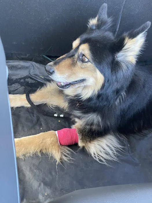 Wildflower Veterinary Hospital 12