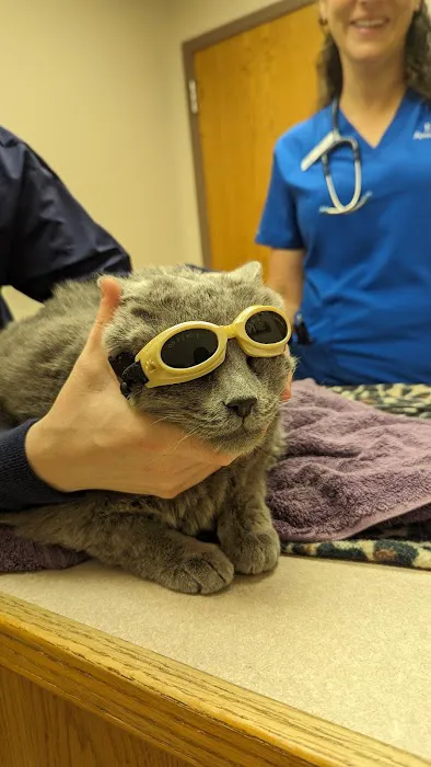 Erie Animal Hospital 12