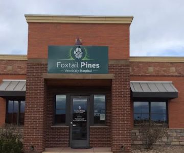 Foxtail Pines Veterinary Hospital