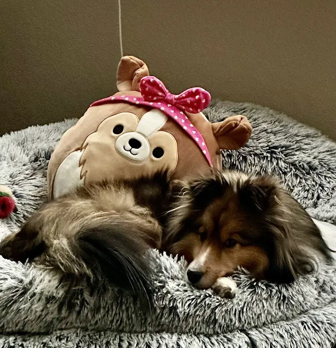 Hess Ridge Animal Hospital 6