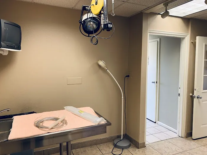 VCA Animal Clinic of Parker 8