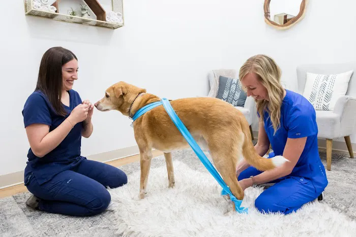 Walking Paws Rehab 1