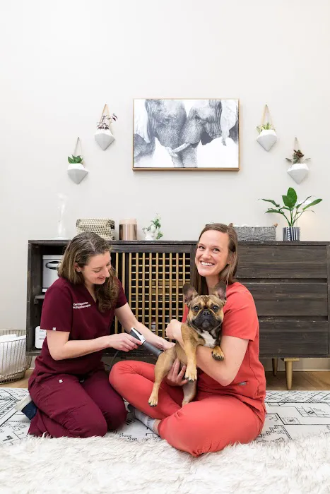 Walking Paws Rehab 10