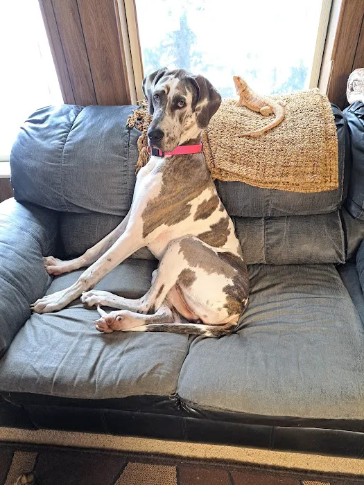 Pet Menders Animal Hospital - Boulder 1