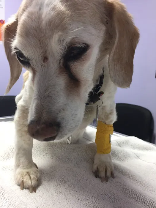 Pet Menders Animal Hospital - Boulder 7