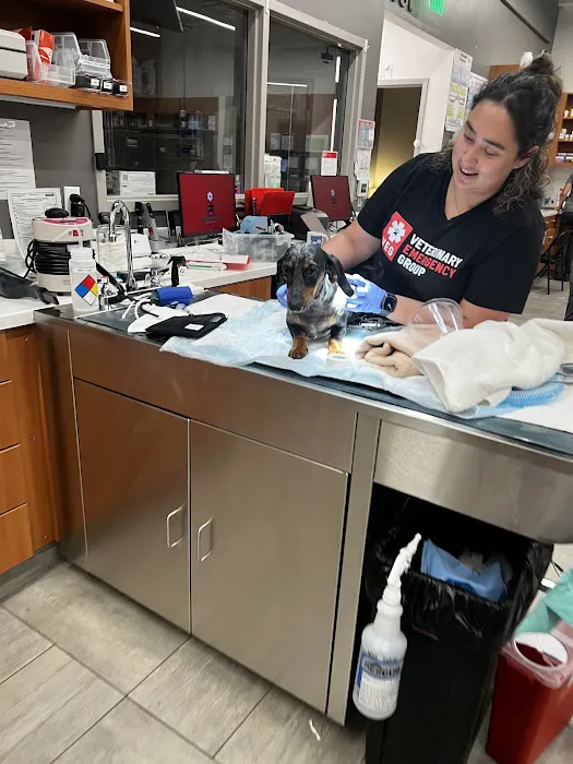 Veterinary Emergency Group 8