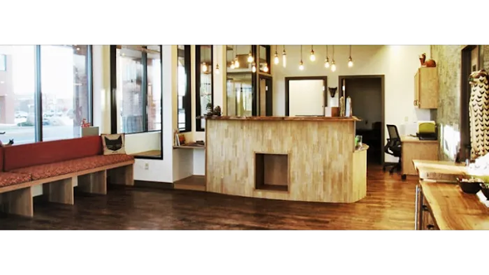Uniquely Cats Veterinary Center 3