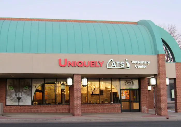 Uniquely Cats Veterinary Center 4