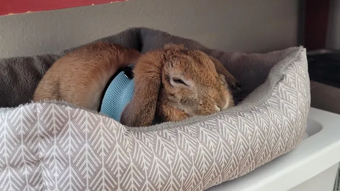 Humane Society of Boulder Valley Veterinary Hospital 2
