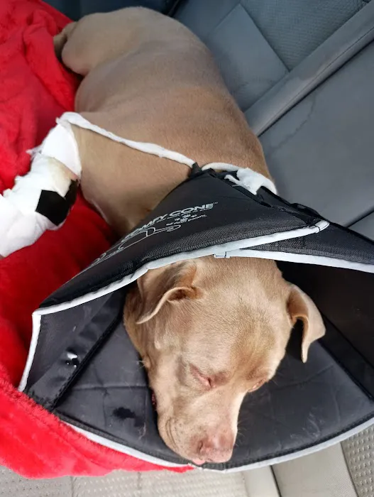 Humane Society of Boulder Valley Veterinary Hospital 6