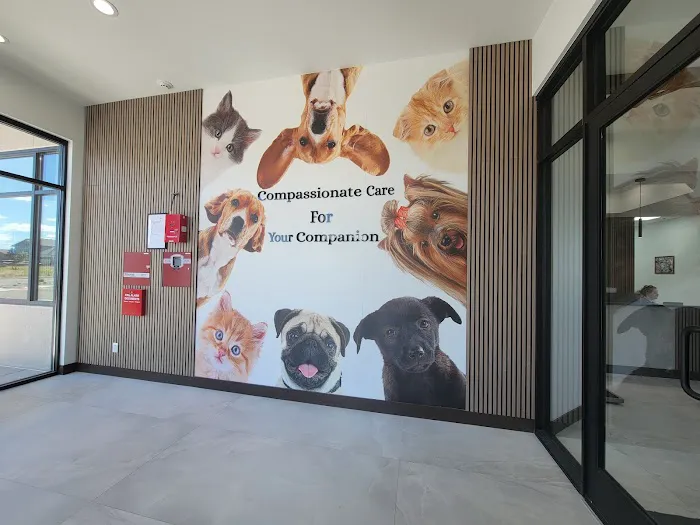 Pinery Veterinary Center 6